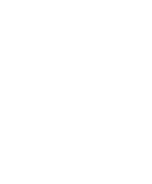 logo x